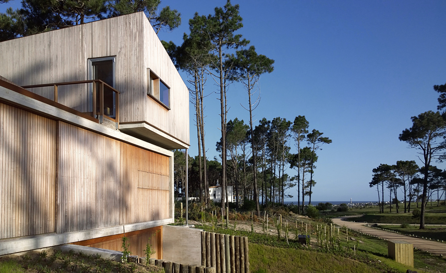 乌拉圭 Pinar del Faro 住宅-13