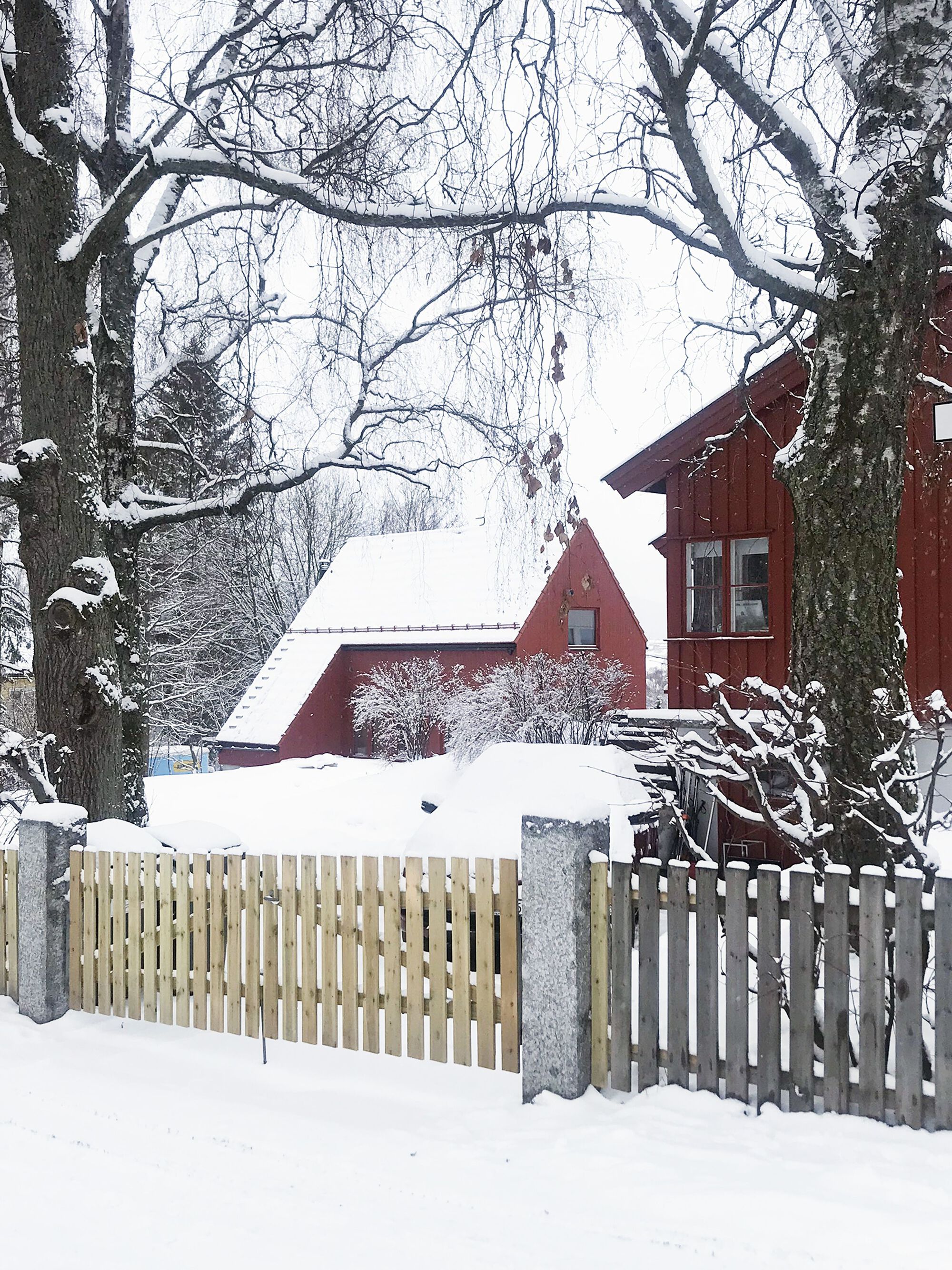 丨挪威丨MORFEUS arkitekter-22