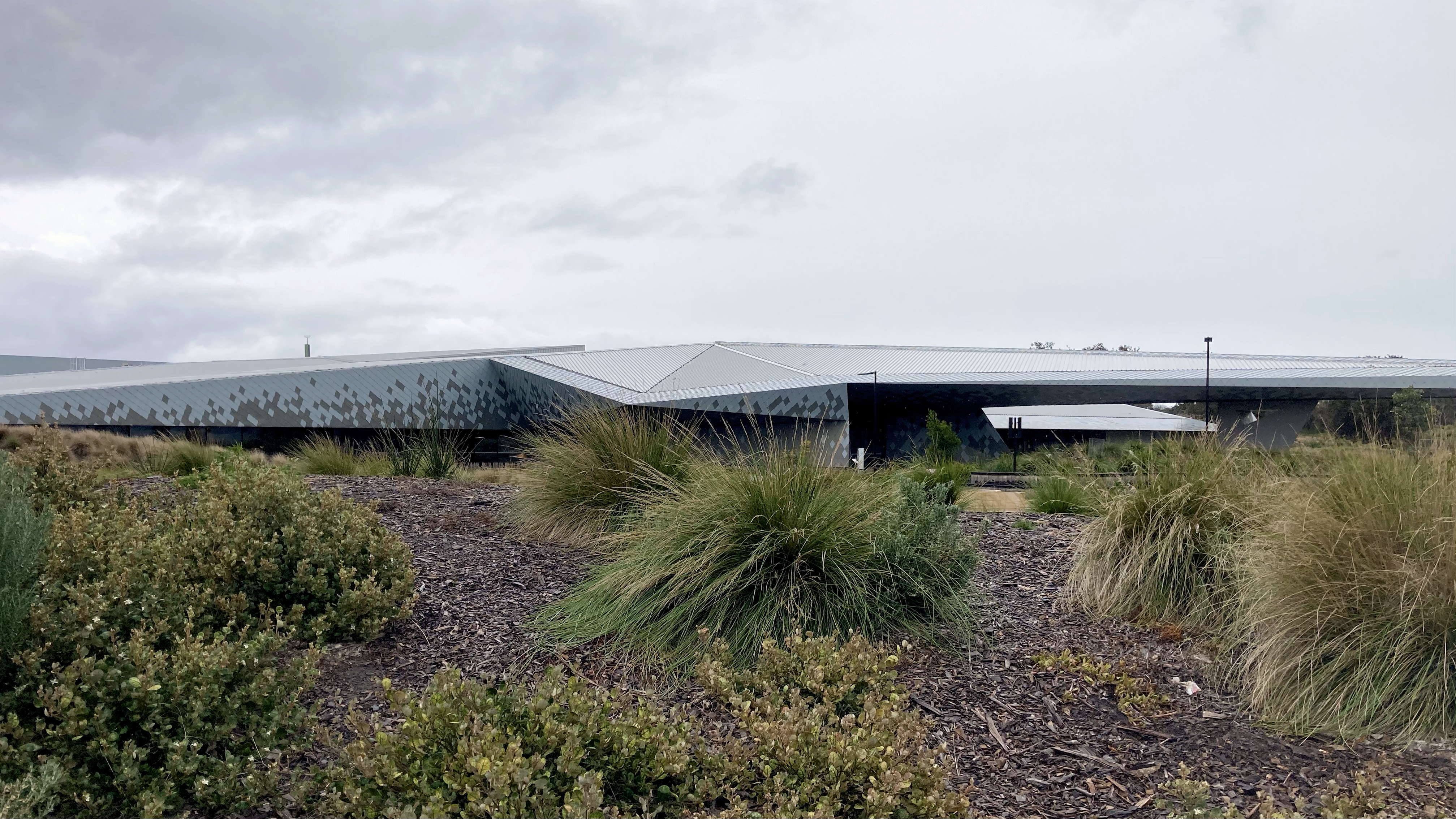 Penguin Parade - shot on iPhone-7