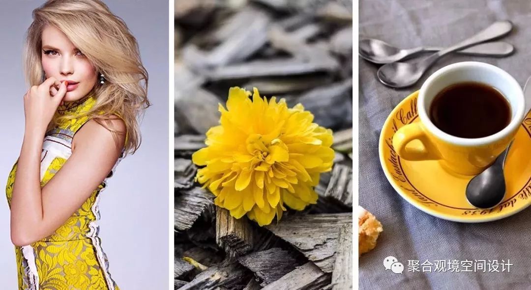 花店中的心灵栖息地-6