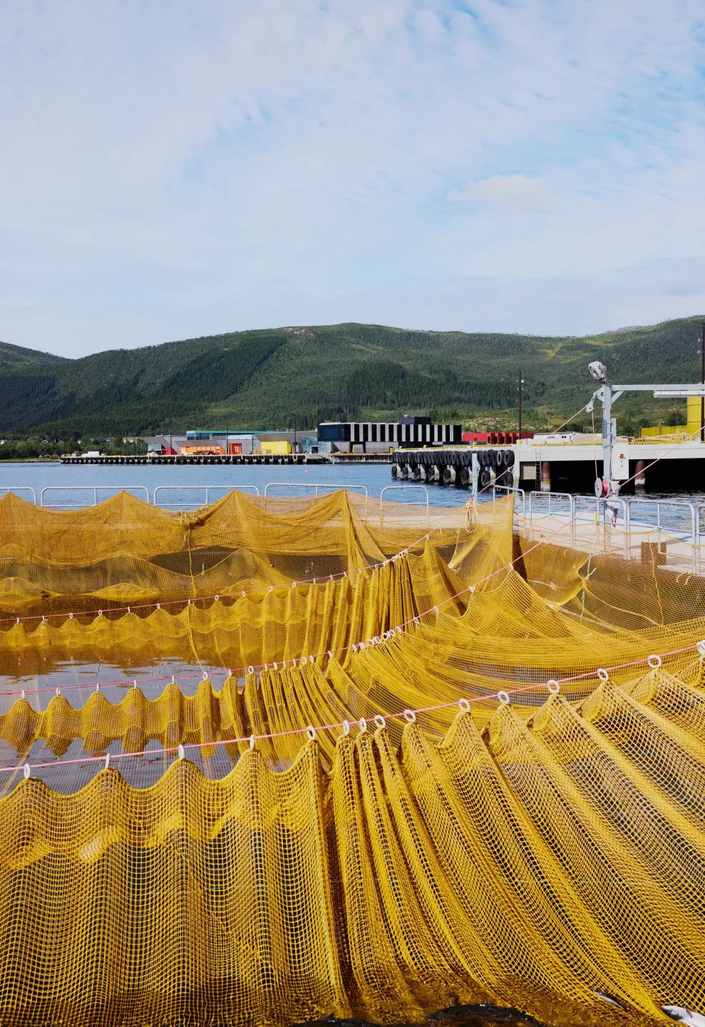 挪威 Holmen 渔场工业区扩建丨Snøhetta-27