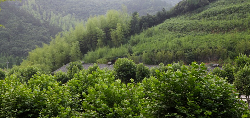 naked Stables 裸心谷-6