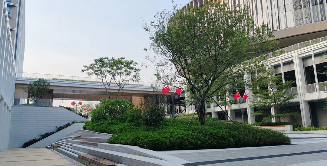 新闻|荣誉高光鹏城实验室园区荣获深圳市风景园林协会质量等级评定规划设计类优秀奖！-289