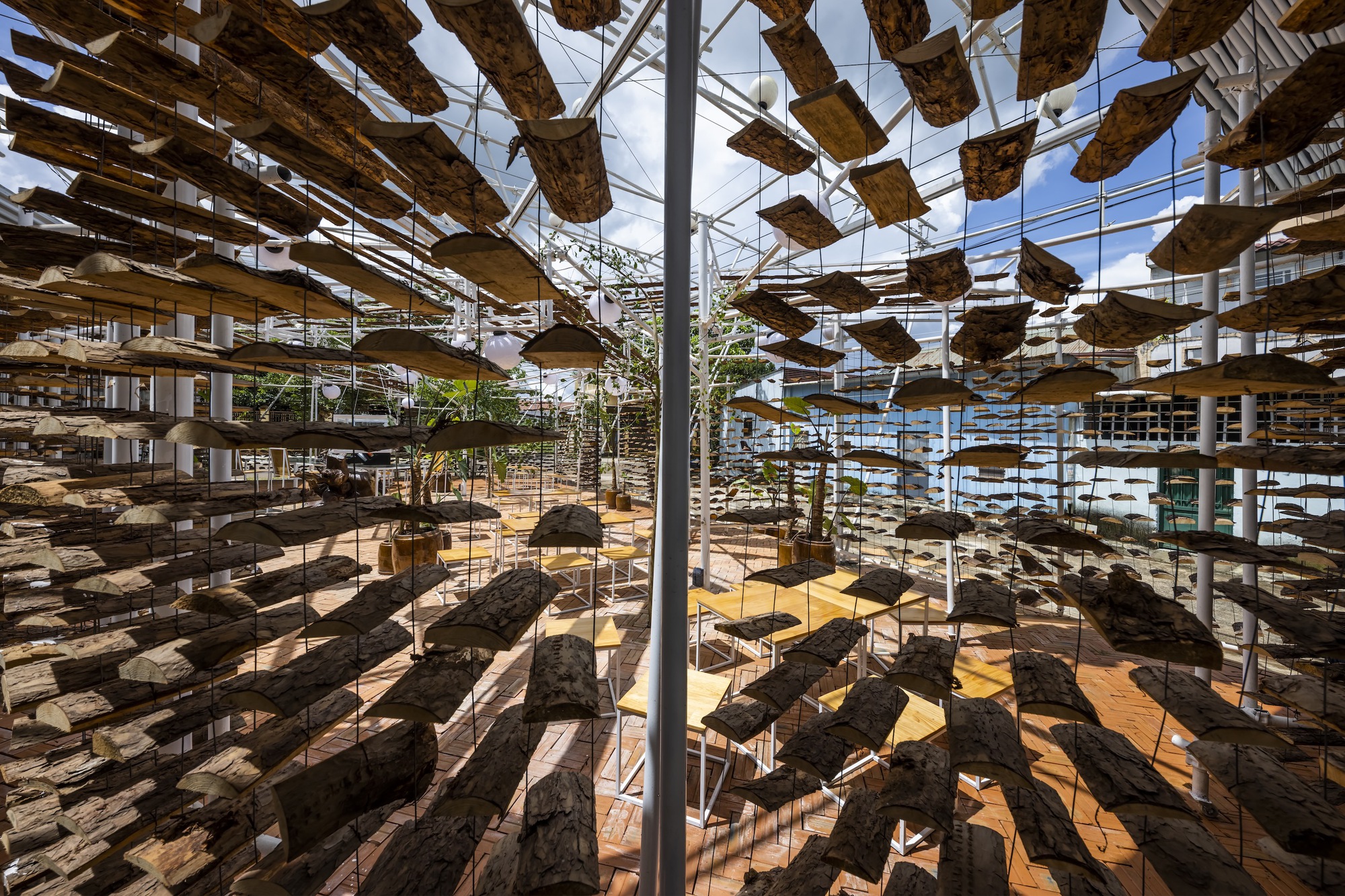 采茶,开花丨越南-40