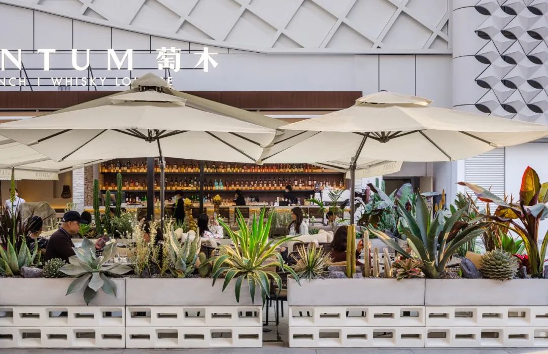 TARENTUM 萄木丨中国深圳丨RBD DESIGN BOX 瑞本设计-21