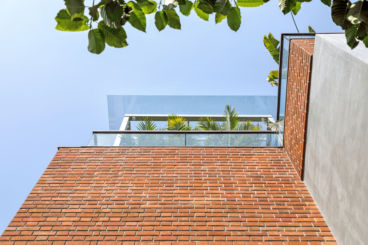 绿意盎然的四口之家——印度 Box House-24