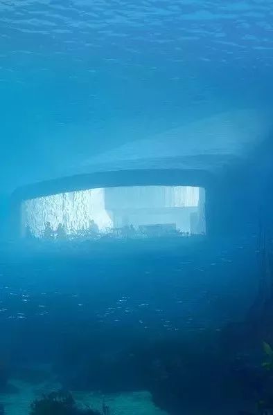 灵感||水下餐厅的奇妙之旅-18