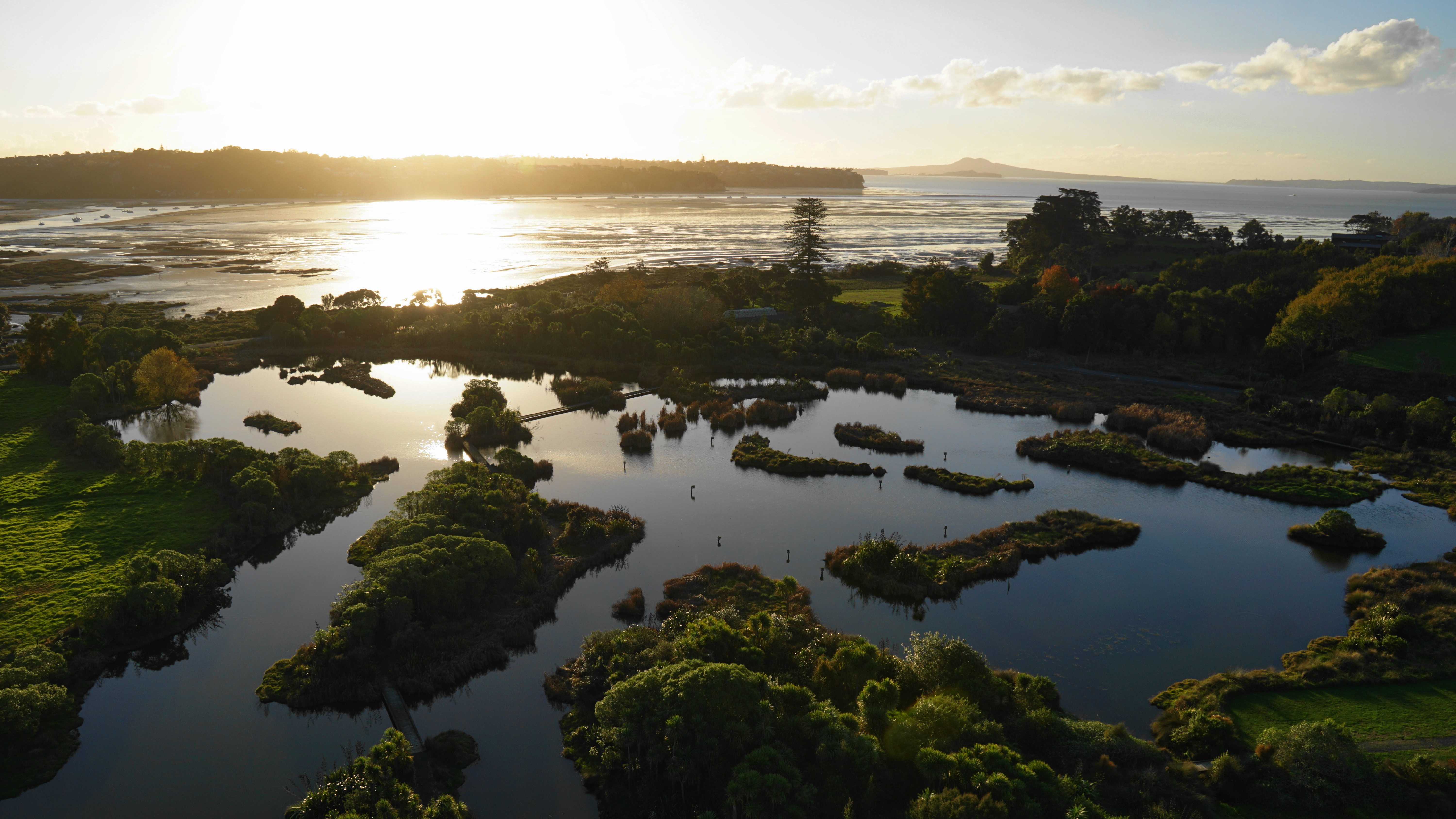 Ayrlies花园丨新西兰奥克兰丨Beverley McConnell和Malcolm-7