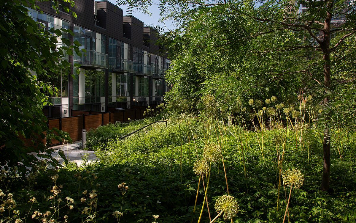 丨加拿大魁北克丨NIPPAYSAGE-13