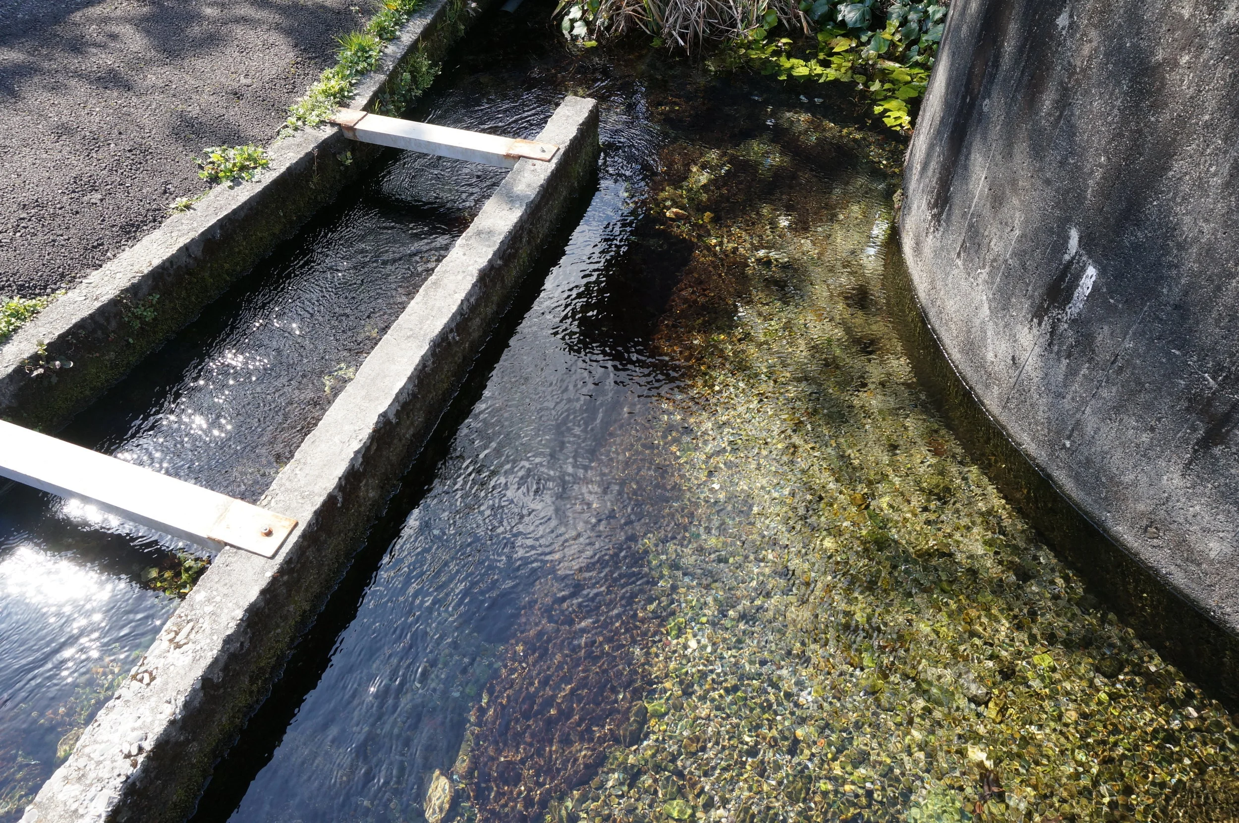 mizuniwa（御手洗龍建築設計事務所项目）丨日本爱媛丨御手洗龍建筑设计事务所（Ryu Mitarai & A.A.）-16