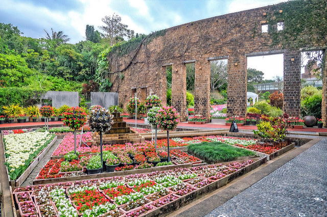 热带梦幻中心（海洋博公园内）丨日本冲绳-18