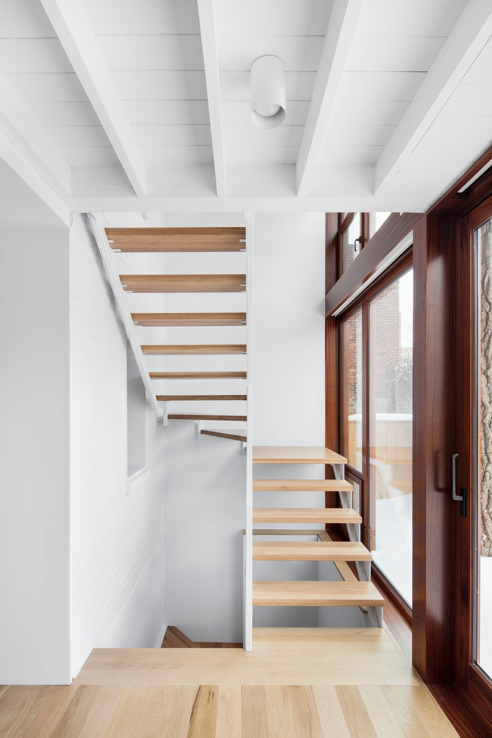 百年老屋与古树的共生对话-18