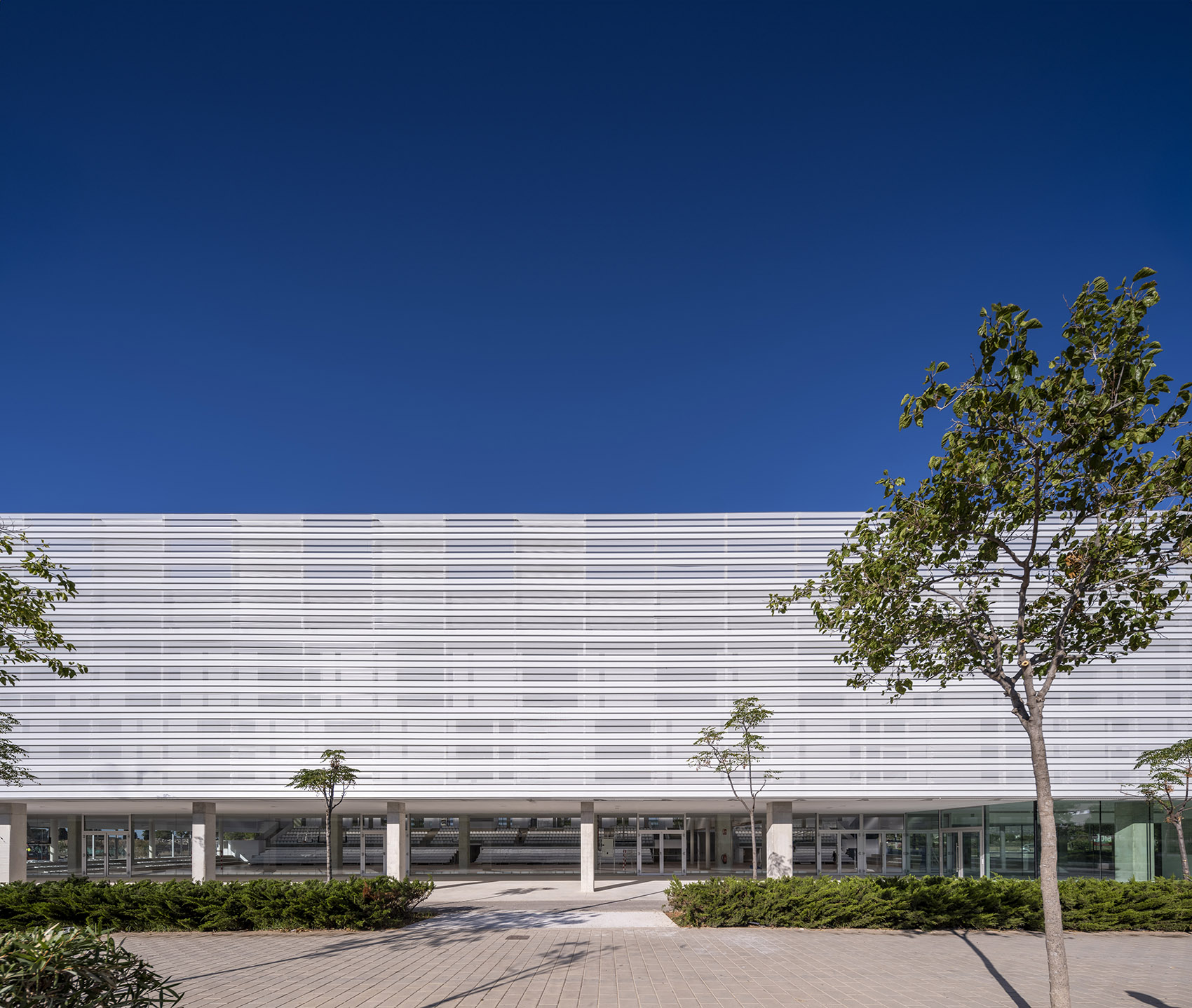 San Vicente del Raspeig 市政体育馆丨西班牙-8