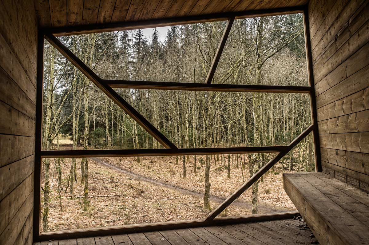 活力校园森林里的运动环丨丹麦丨VEGA landskab-26