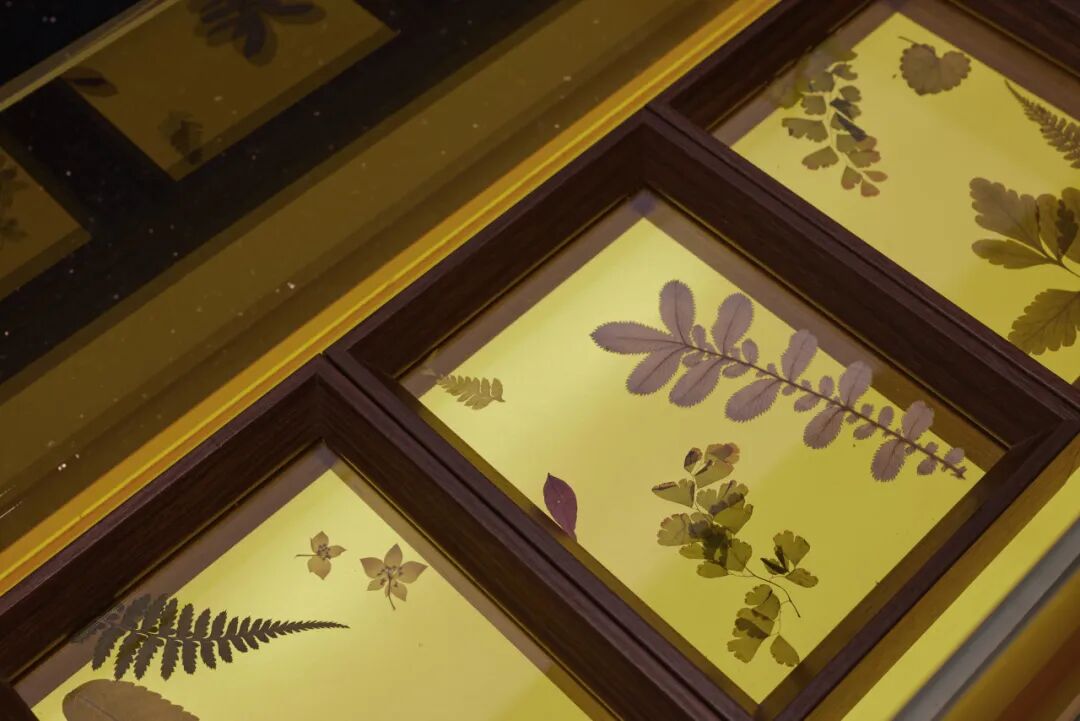 UCE右见|兆生花园小镇-51