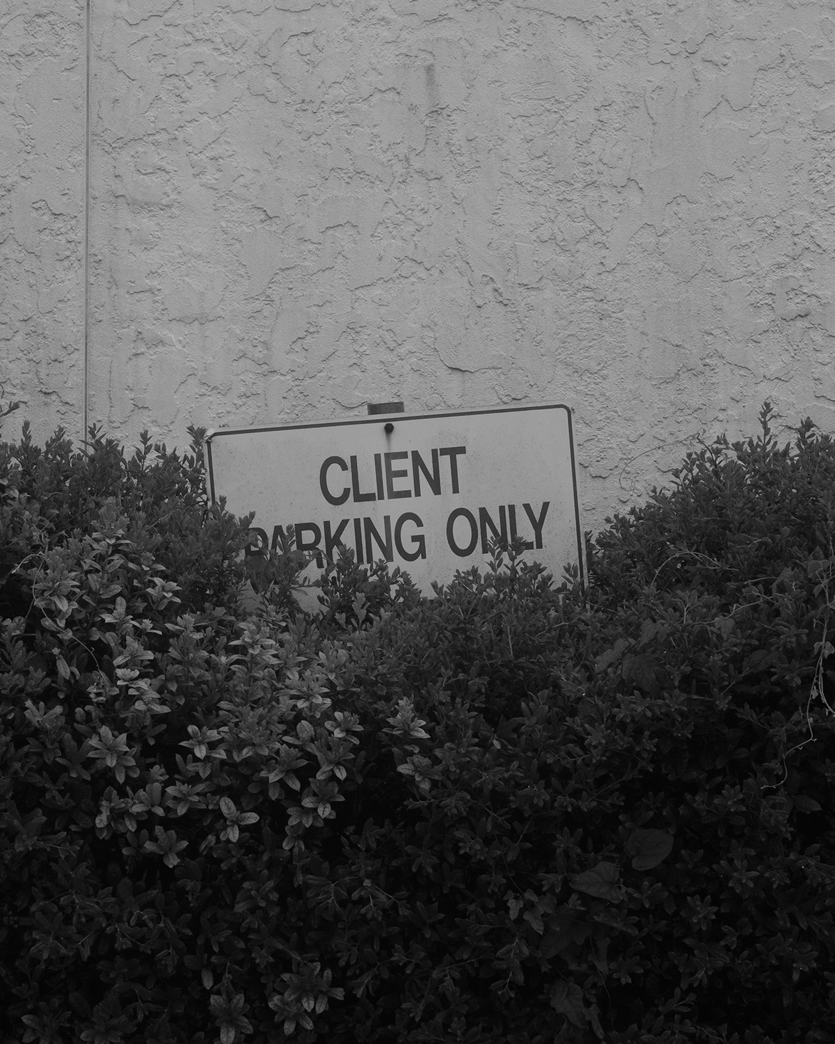 疫情之梦 · 遗忘与记忆的空间-9