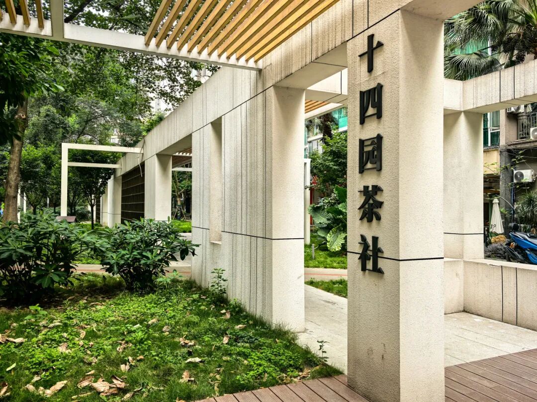 打卡城市“金角银边”丨龙江路十四巷的“时光切片”里藏着社区更新密码-13