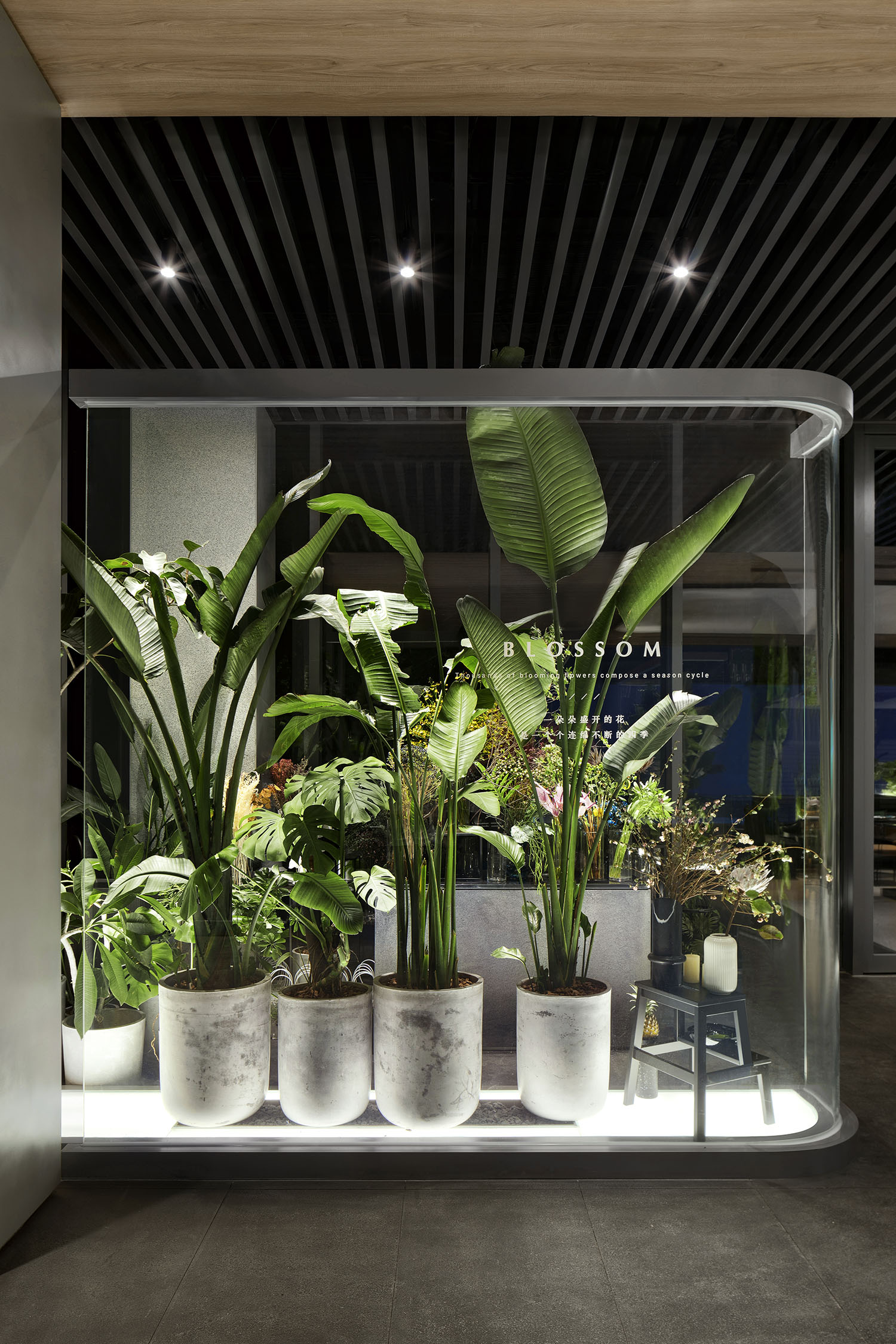 一间会呼吸的雨林餐厅Afterain-38