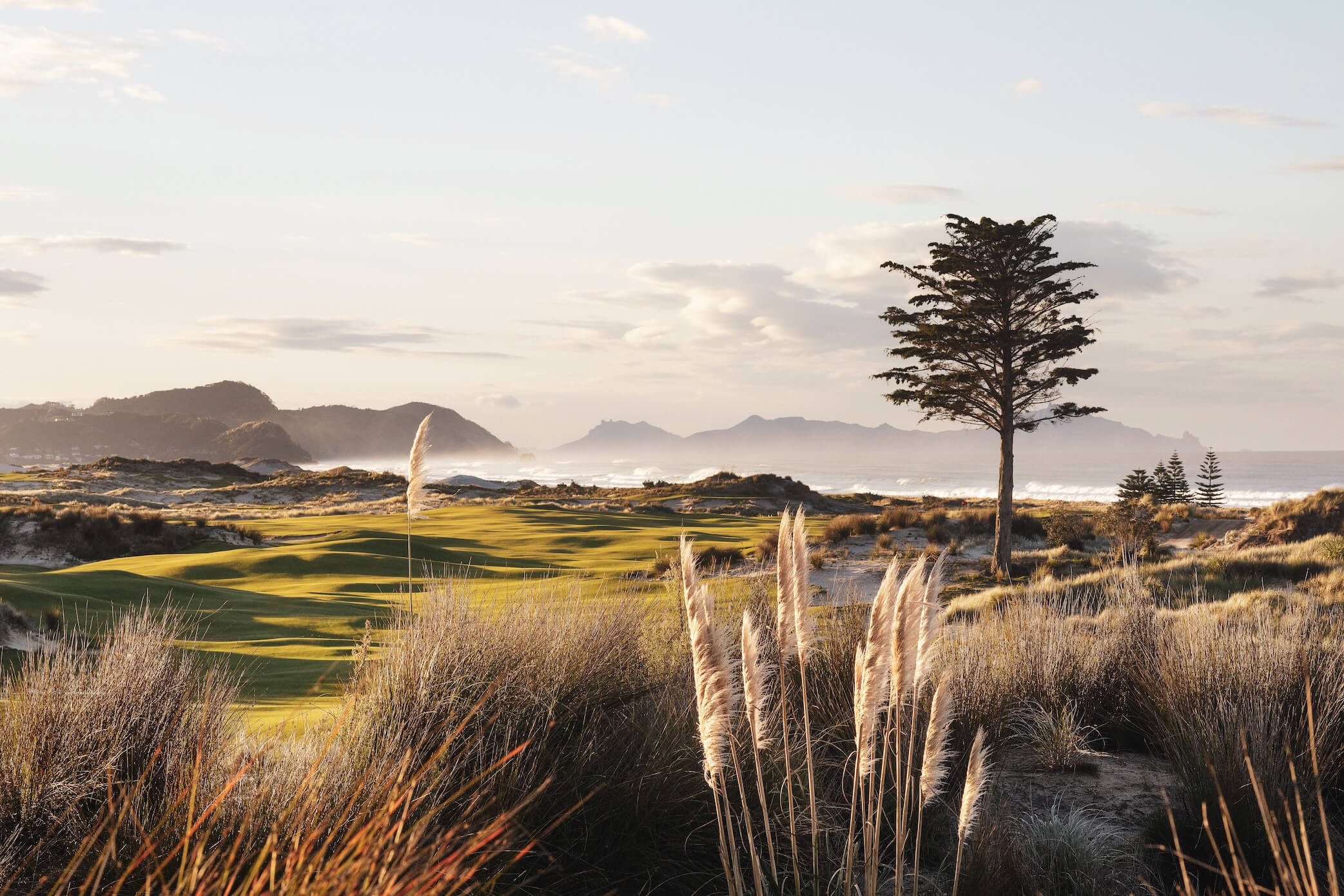 塔拉伊蒂俱乐部会所丨新西兰丨Cheshire Architects-20