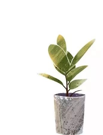 日式自然风，原木与绿植的纯净世界-15