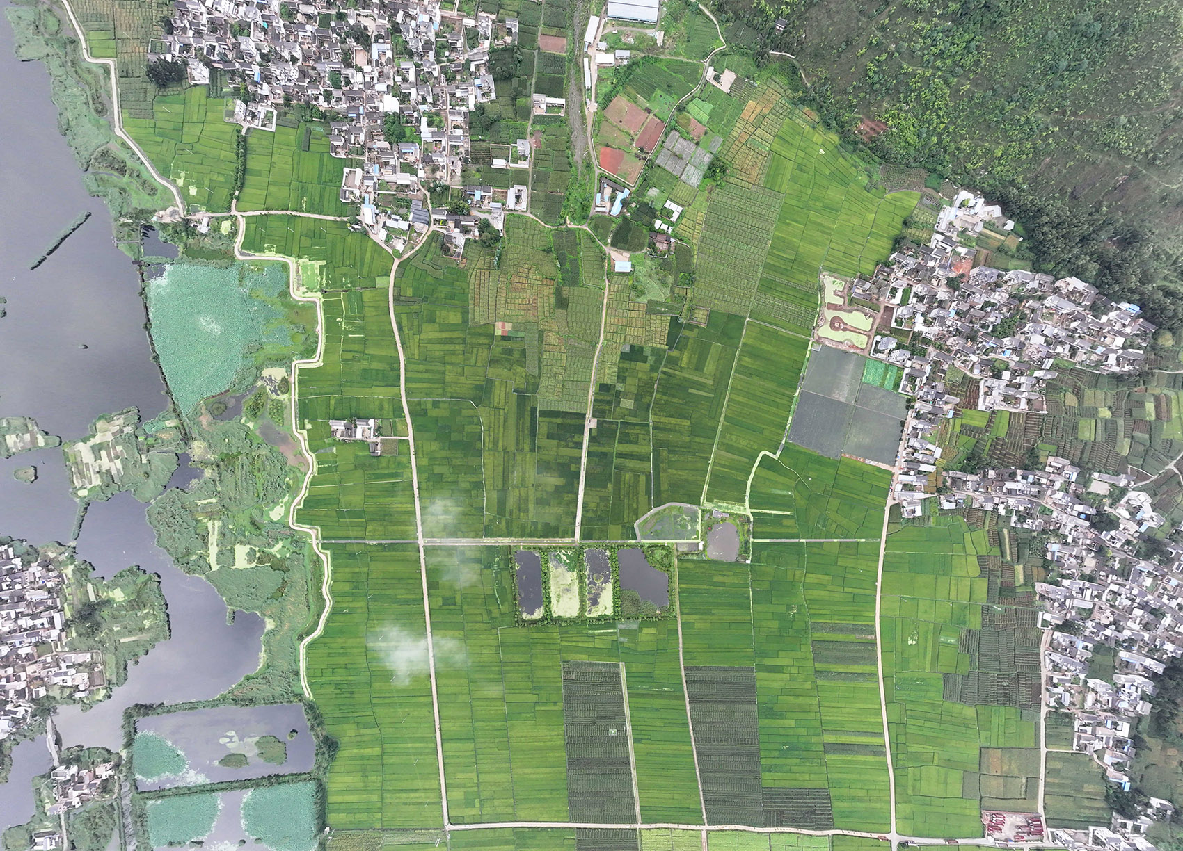 田野间的“碠”建筑 | 村民与游客的四季对话-66