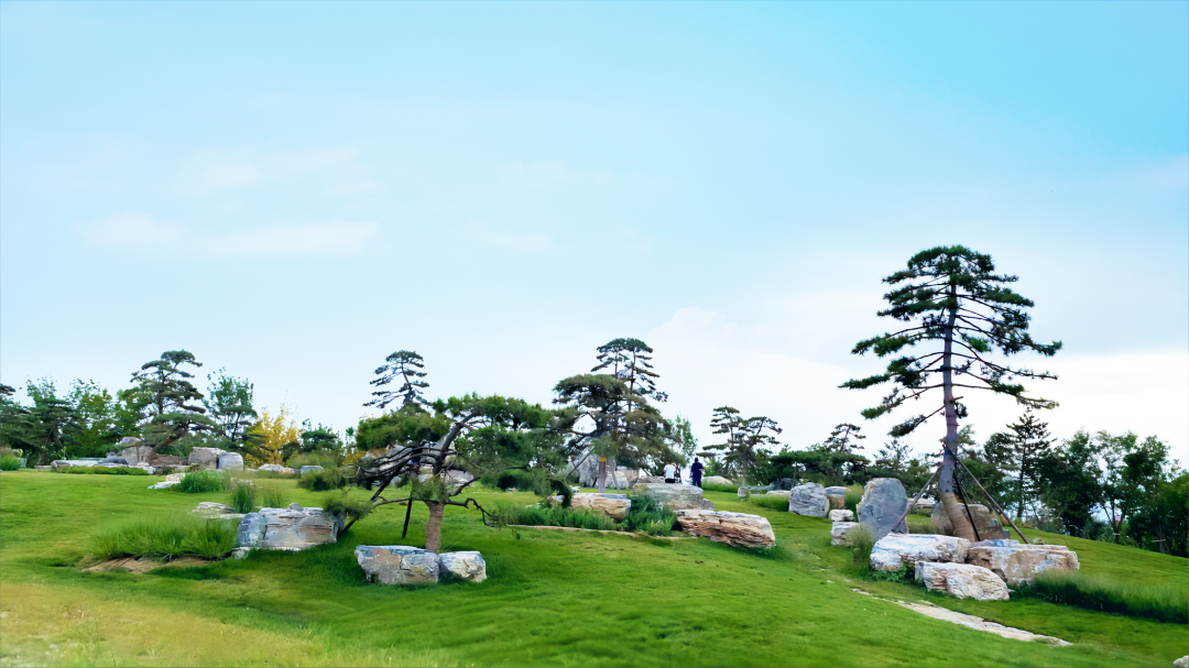 【匠心设计】“绿心”跃动，绘就北京城市副中心生态和谐画卷-28