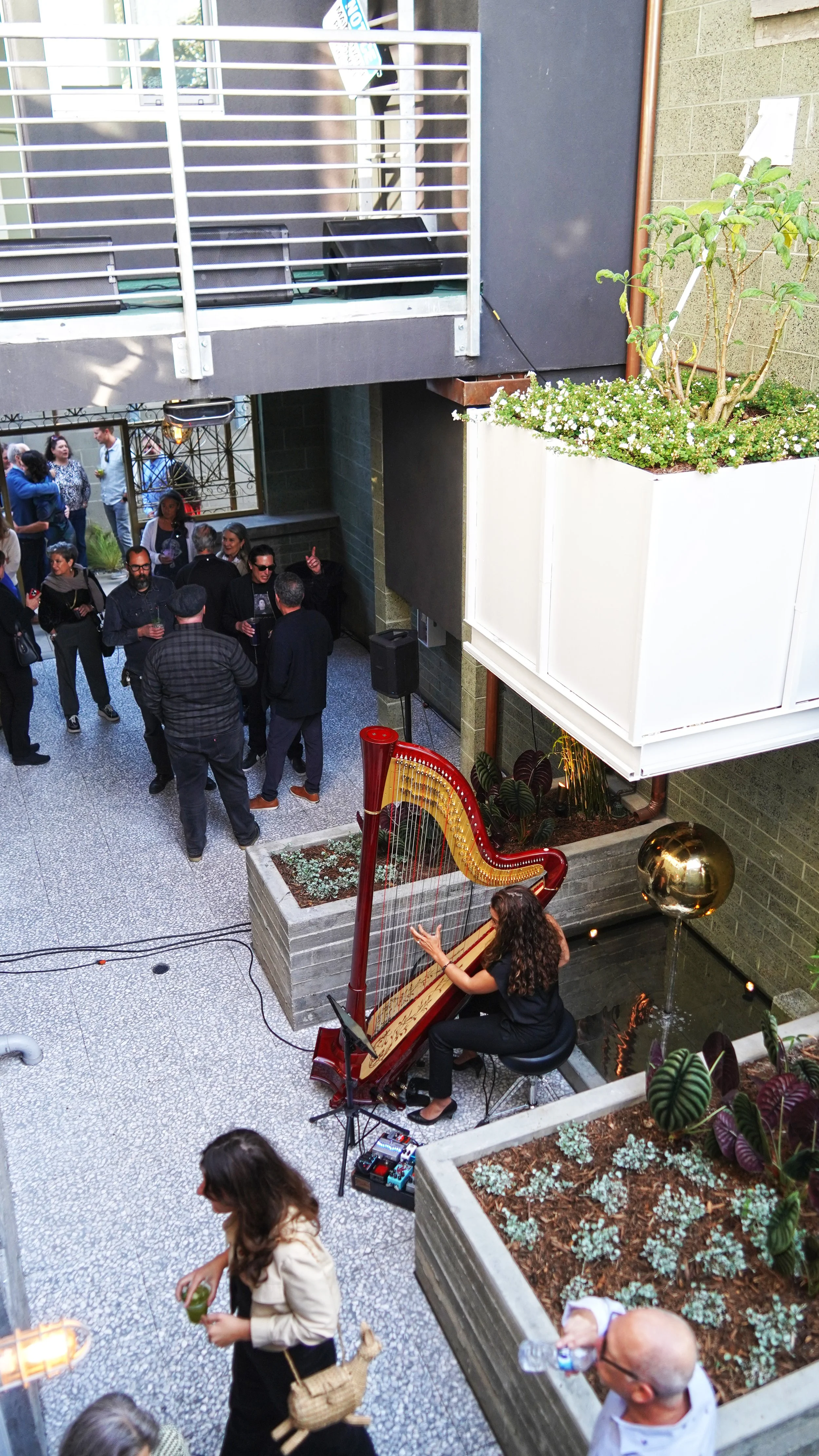 达芙妮·麦卡洛 · 圣地亚哥丨美国-22