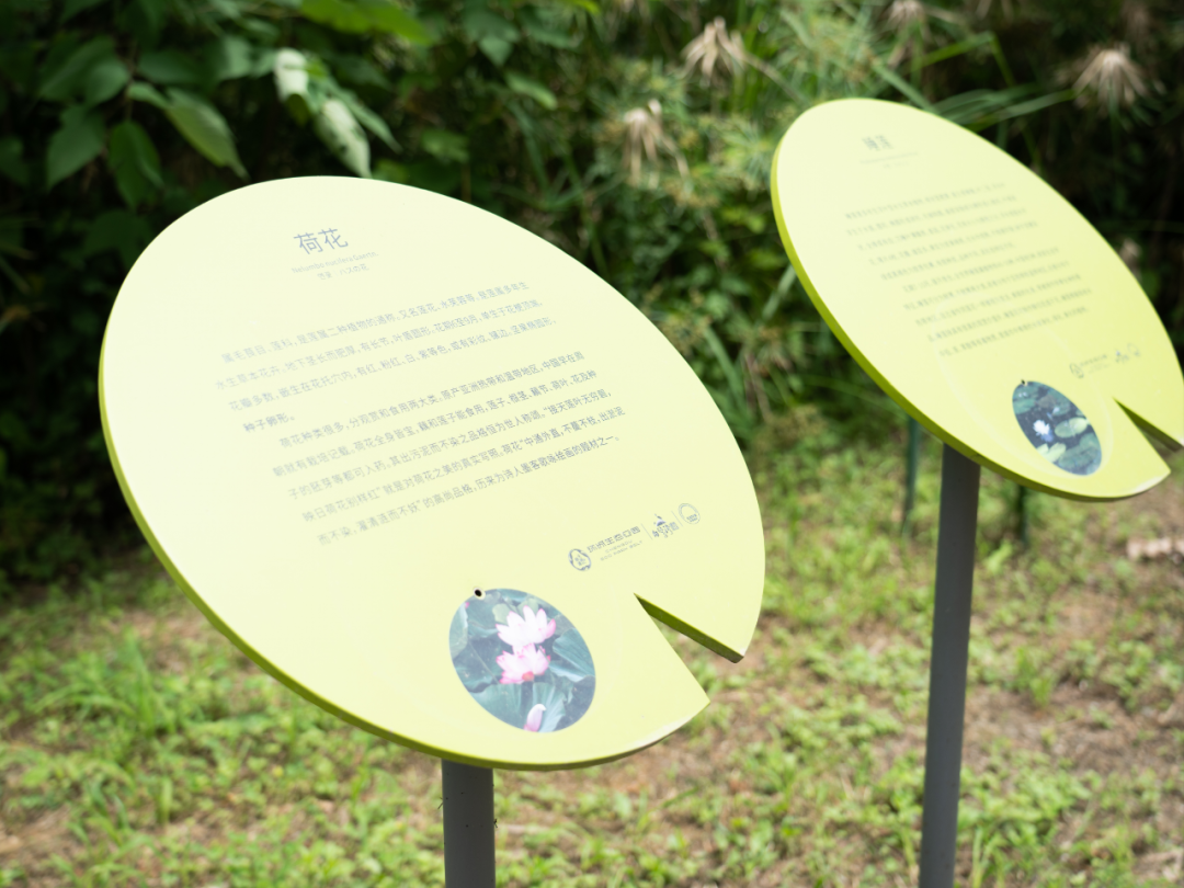 白鹭湾湿地公园自然探索基地丨中国成都丨上海柏熙标识有限公司-21