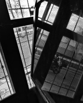 Street photography in San Lorenzo