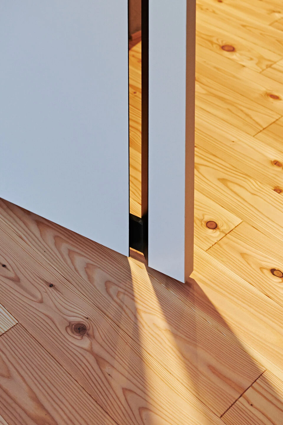 生命节点丨日本岩手丨NoMaDoS-59