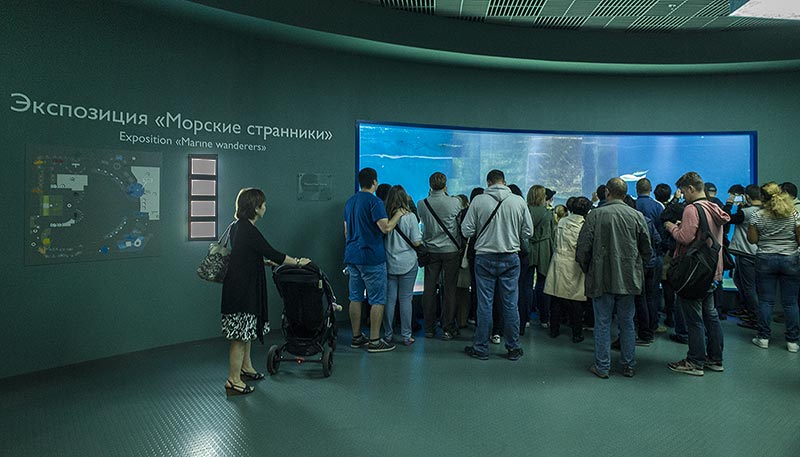 莫斯科海洋馆155立方米鳐鱼海洋水族缸-12