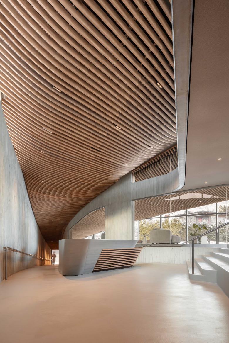 克拉勒霍夫的氛围丨奥地利丨Hadi Teherani-68