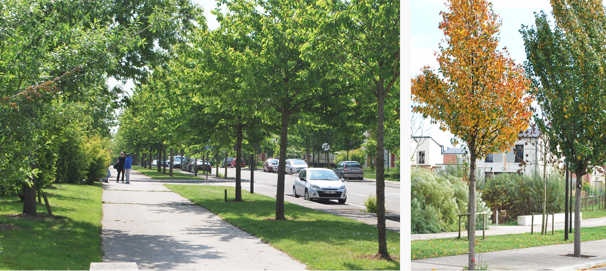 保罗·克洛岱尔联合开发区丨FranceAmiens-20