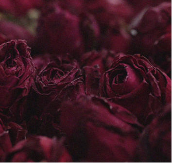 长沙直立灌木办公空间 | 玫瑰之韵的现代演绎-10