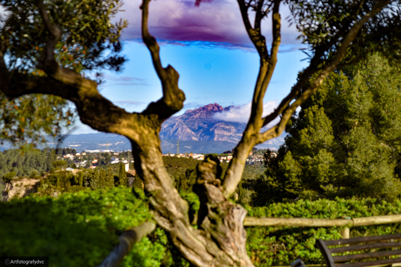 3° Entrega pasión por las fotos-2