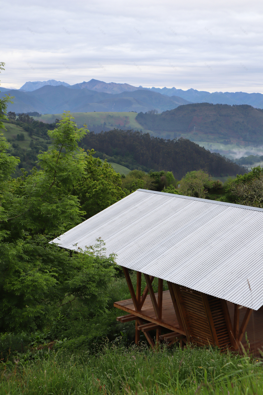 Taller Agropoetico - Foresta Collective / Atelier Poem-40