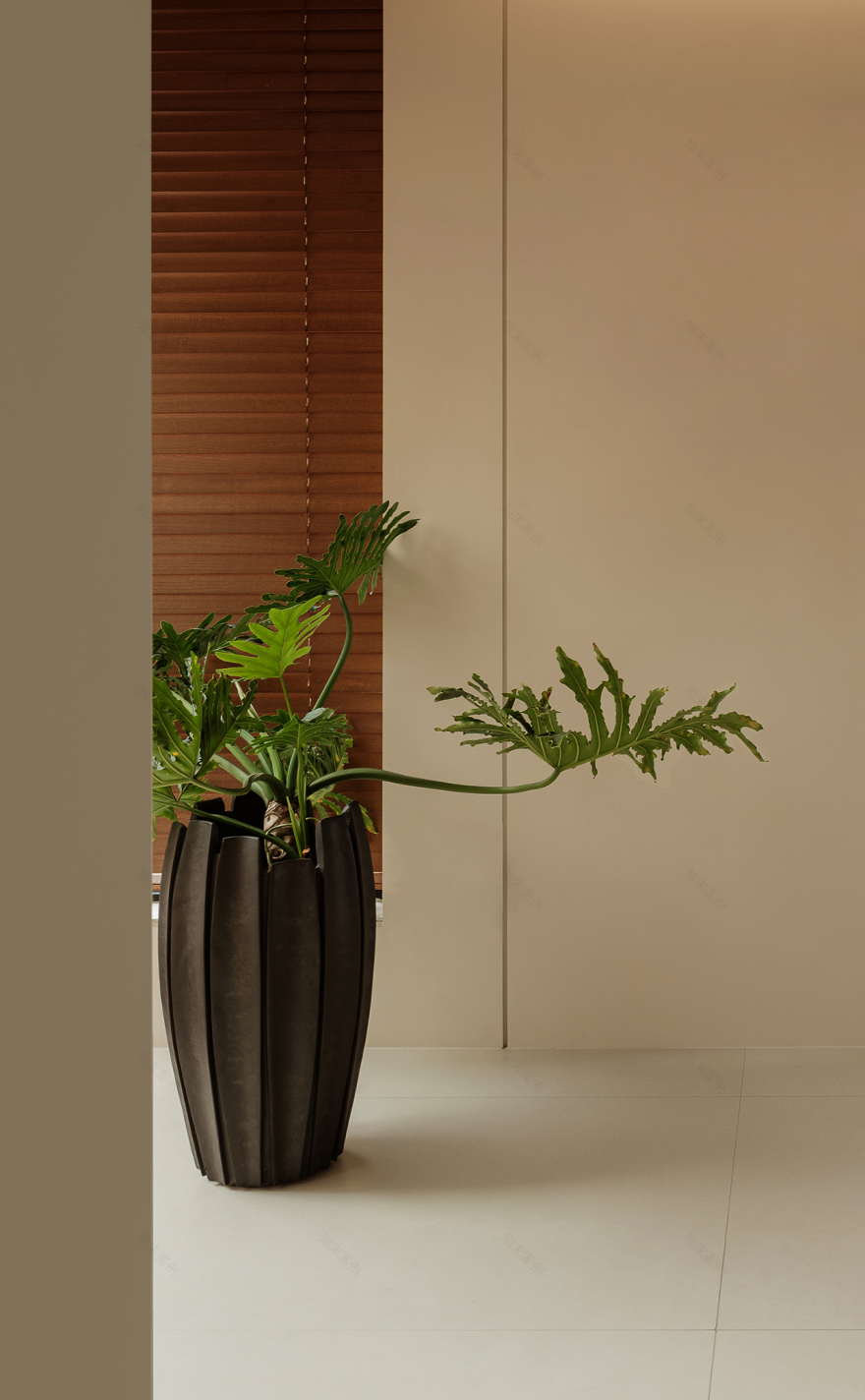 新作 · 夏承龙|空间的情绪丨中国合肥丨1890.STUDIO-43