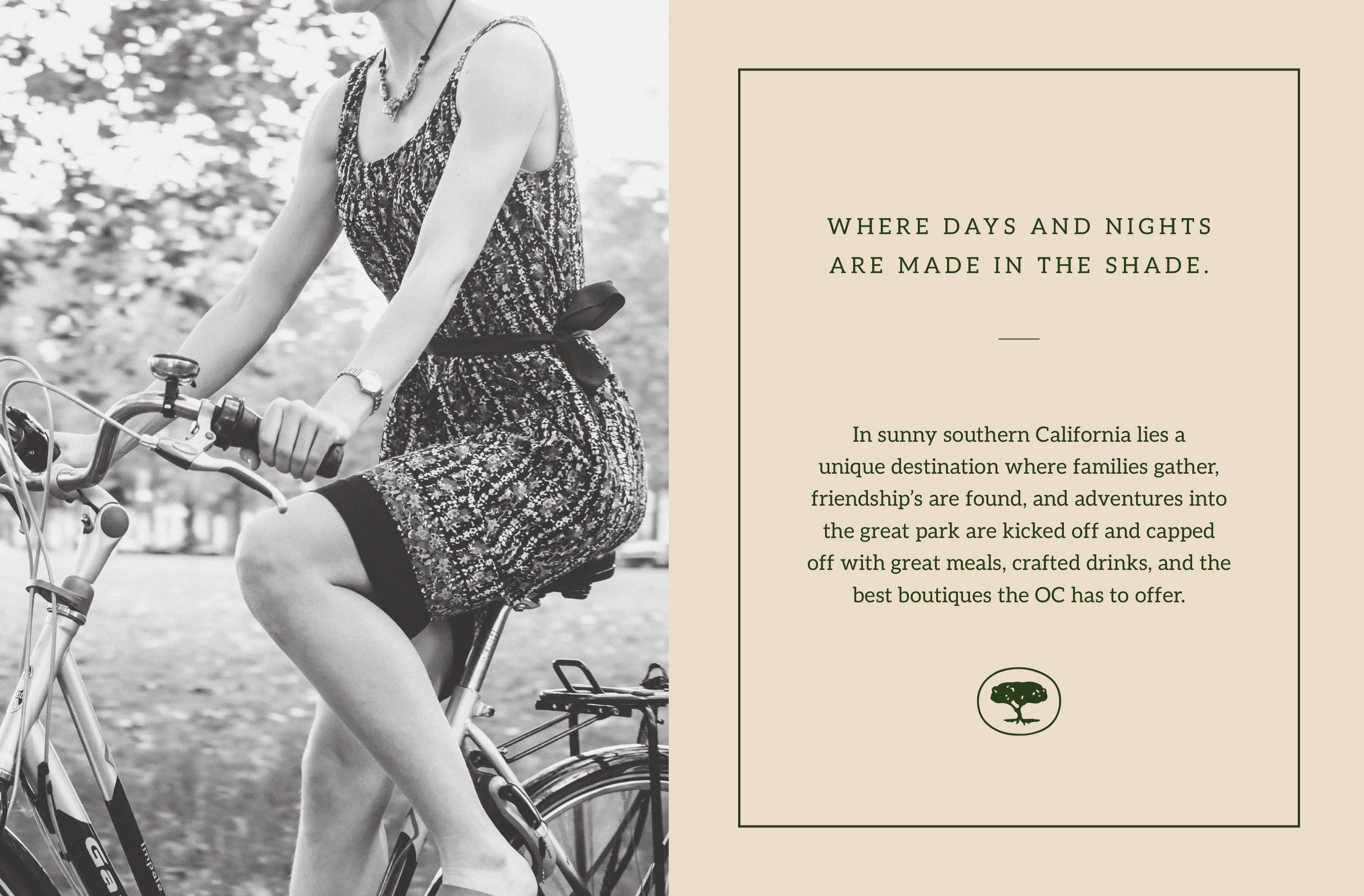 树冠层；天篷（需结合具体语境确定最合适的含义，这里提供常见两种场景的释义，若你能提供更多上下文信息，我将给出更精准的翻译） 

若此译法不符合单一准确要求，烦请你提供这个词组出现的具体语境，便于我给出更符合工作流的结果 丨United StatesCalifornia丨RSM Design-7