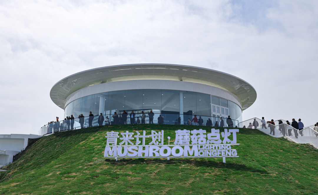 印文设计|蘑菇点灯·故事汇连获国际大奖-23