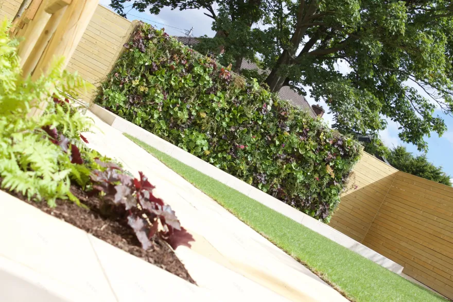 垂直绿墙花园丨爱尔兰都柏林-51