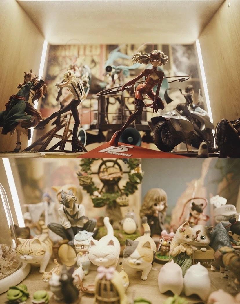 喵星人的温馨家园丨中国重庆丨不详-79