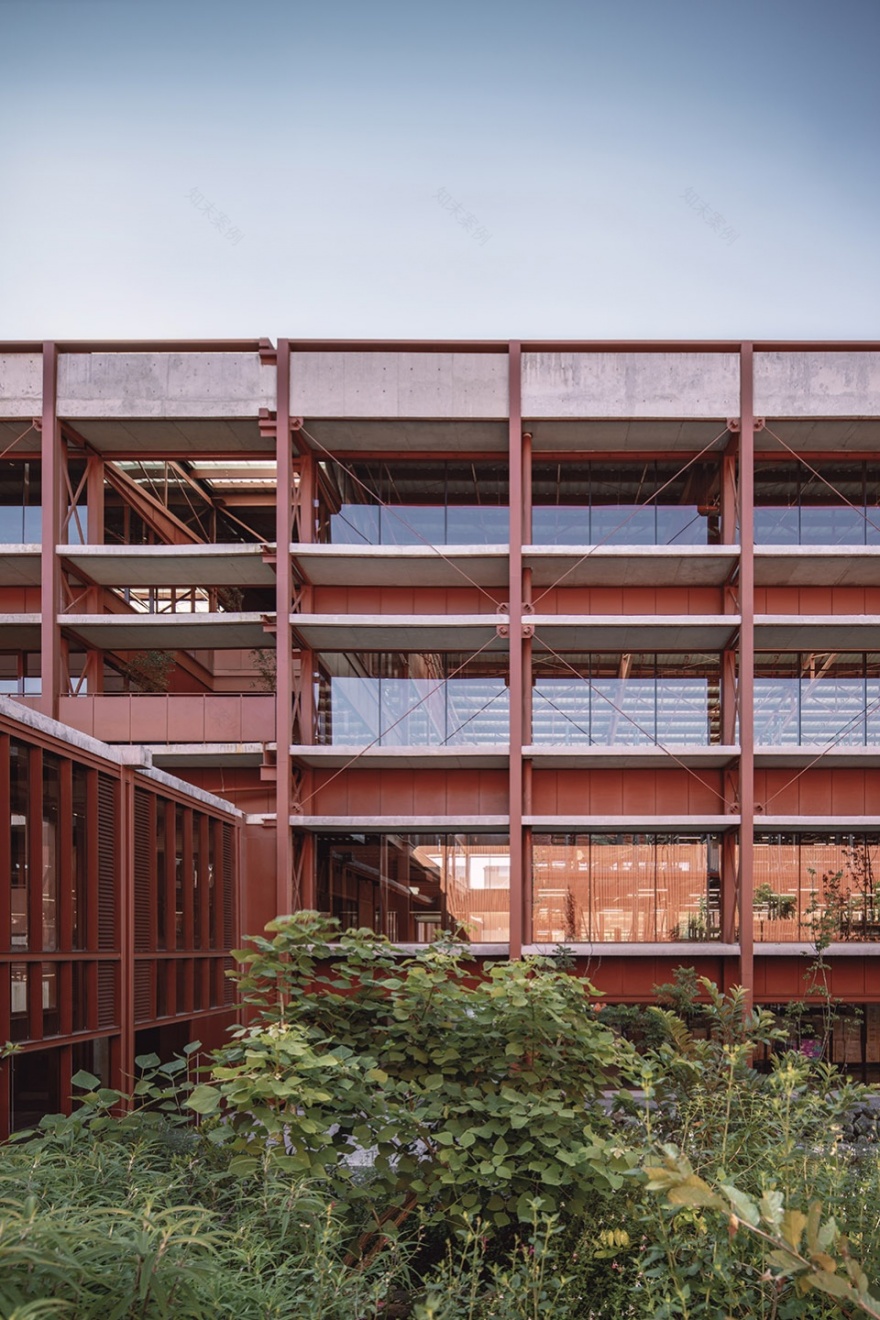 墨西哥 CBG 园区 | 钢筋混凝土与绿色花园的工业风范-6