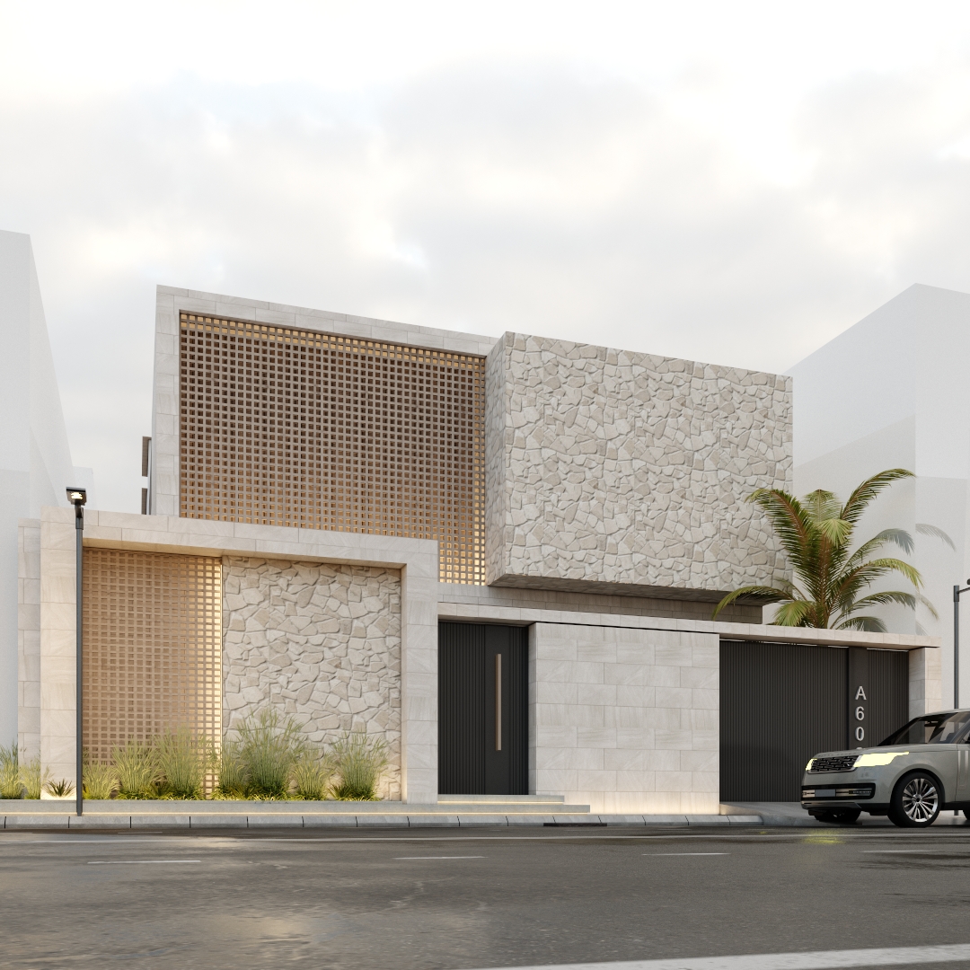 VILLA MODERN 别墅外观设计-7