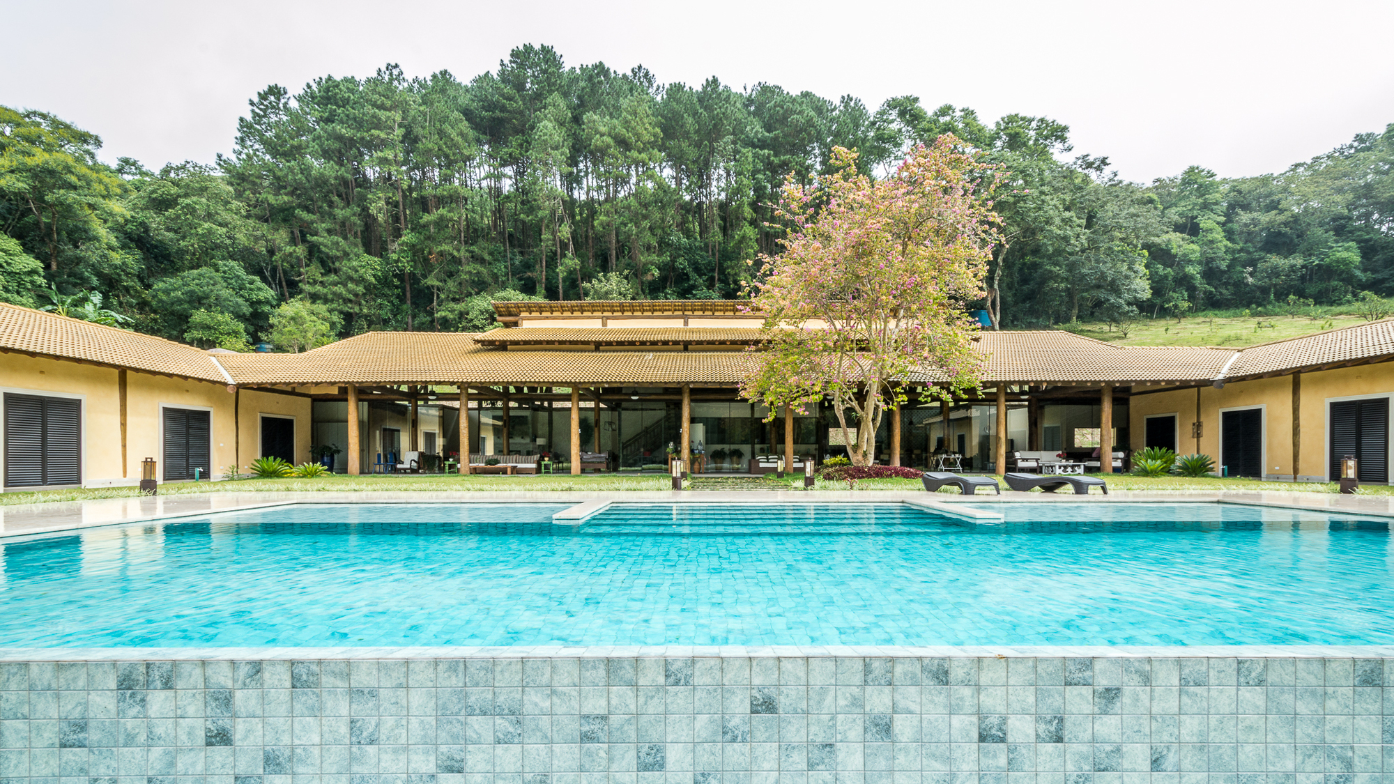 AM 之家丨巴西-24