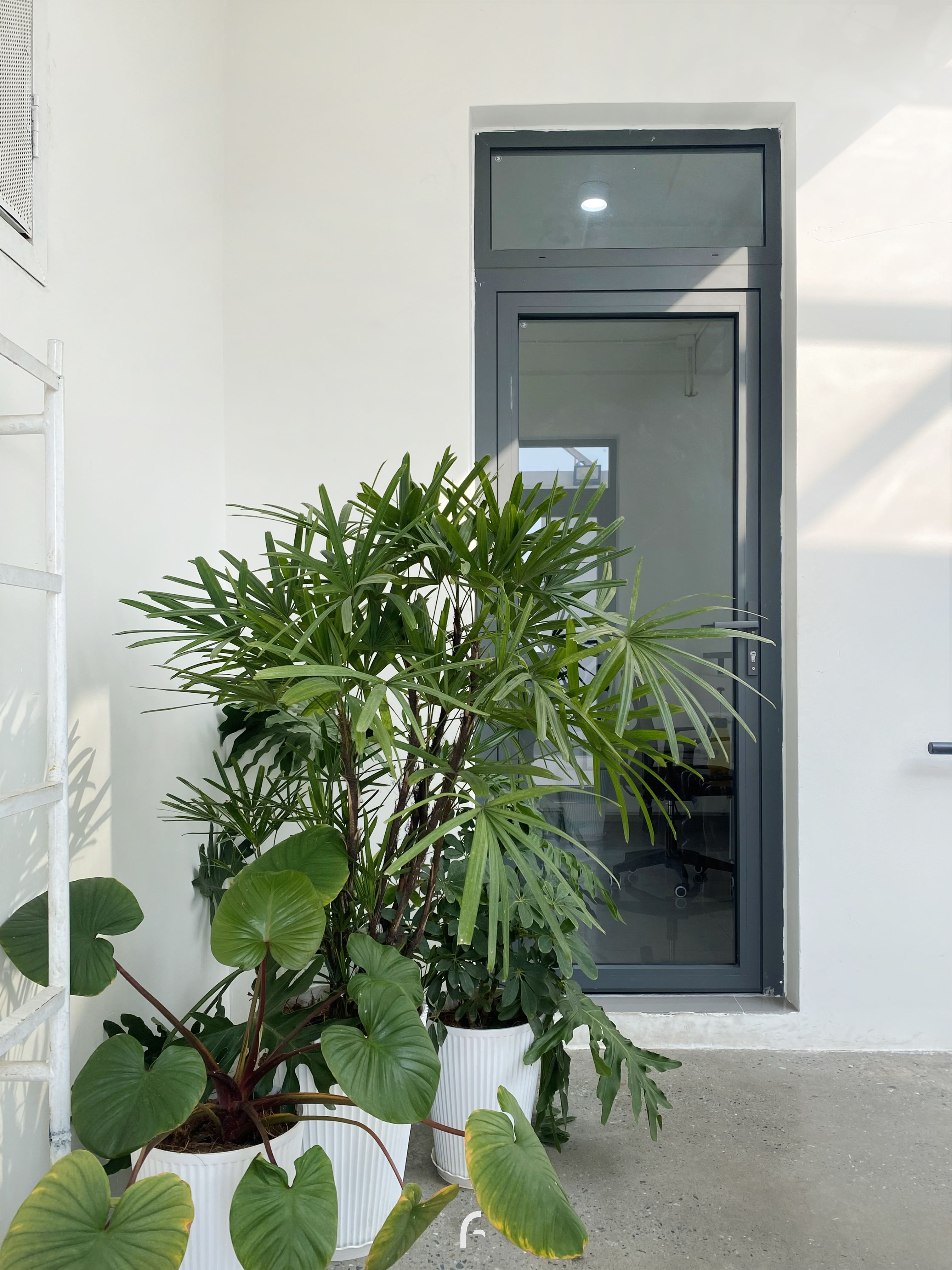 NEVER TOO SMALL 办公室设计丨柬埔寨丨OUR OFFICE!-7