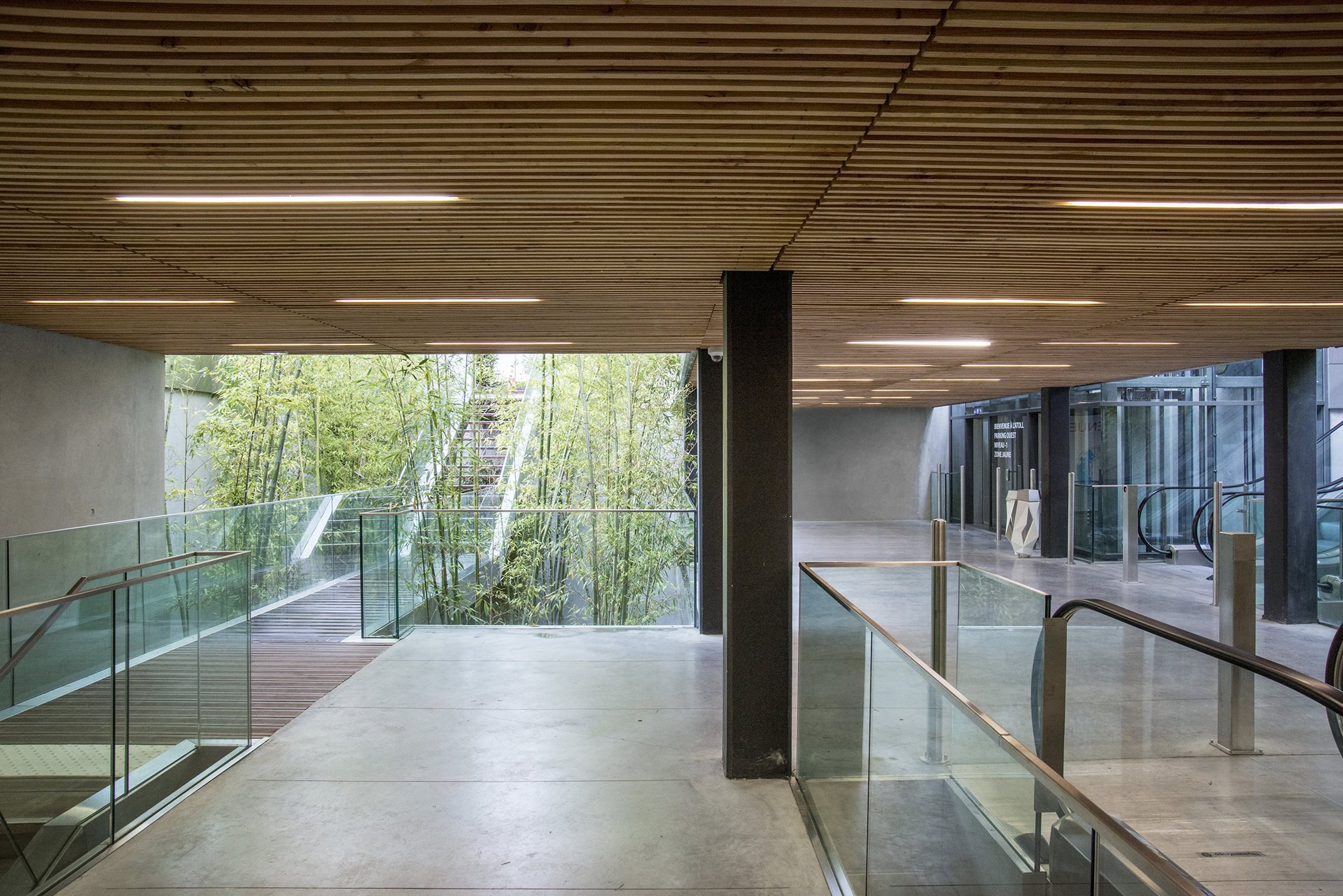 AAVP 建筑设计的商业购物中心 · ATOLL-11