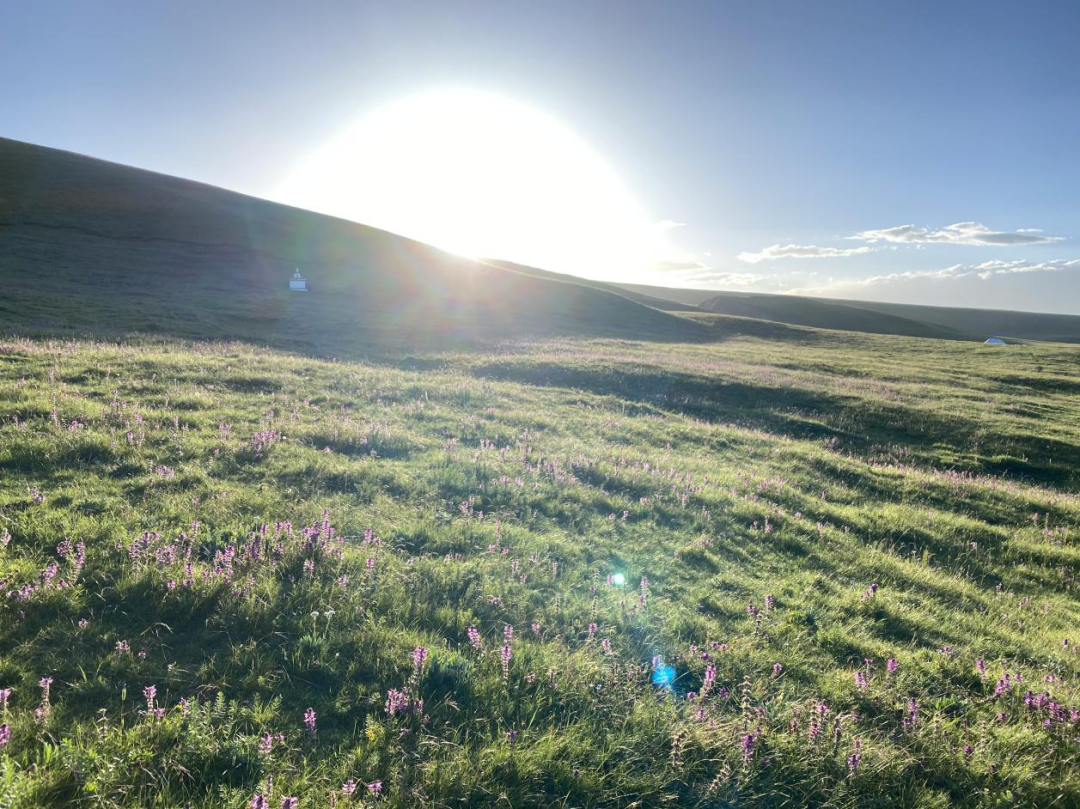 青海之旅 | 祁连山脉、茶卡盐湖、青海湖的惊艳设计-60