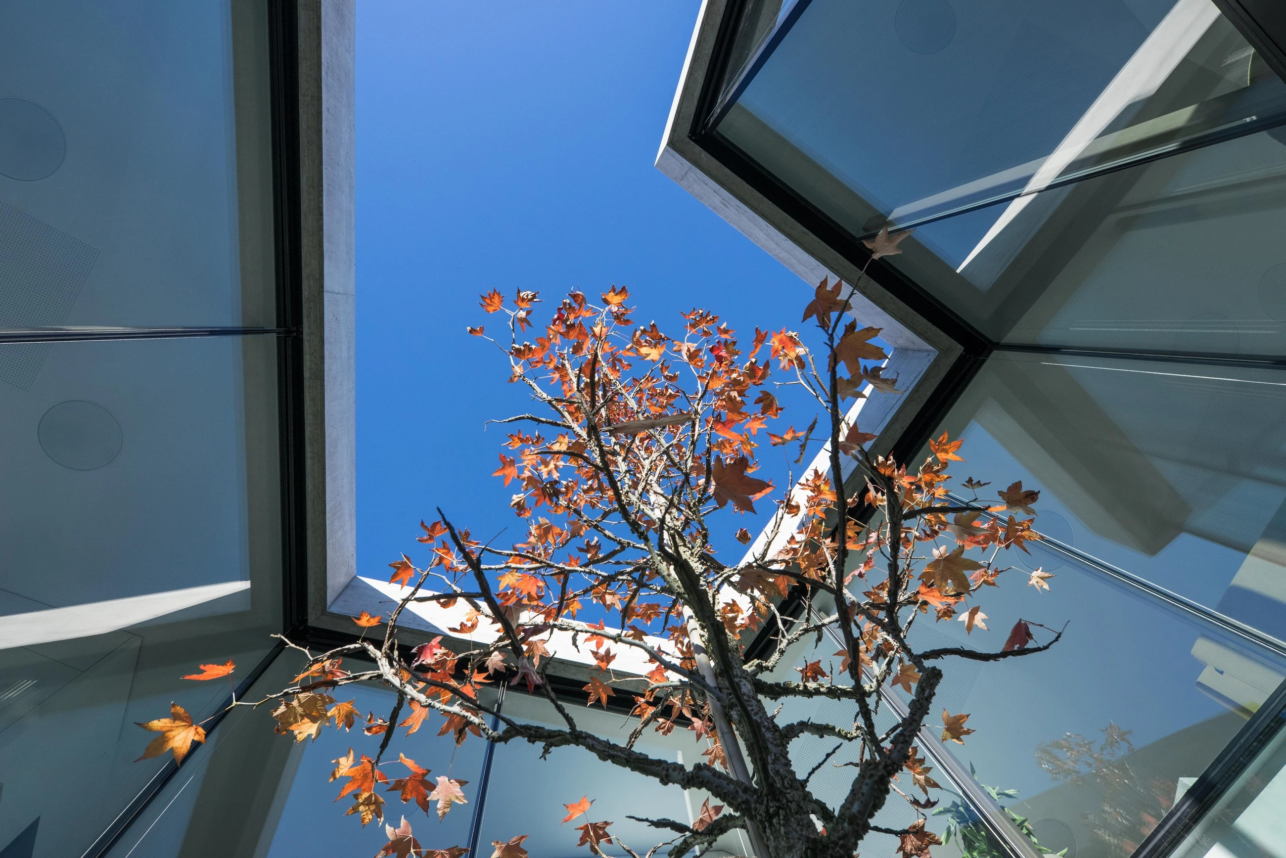 瑞士 Grimisuat 雕塑式住宅-23