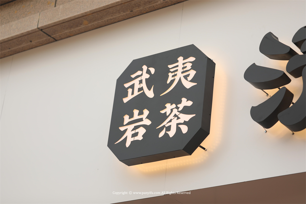 清风活水 · 潘艺夫团队 · IFPD 案例-33