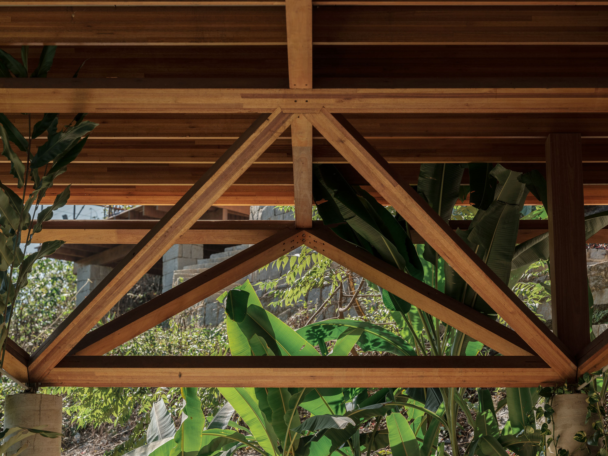 丨巴西帕拉丨Arquipélago Arquitetos-46